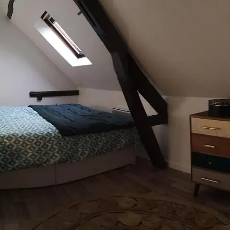 Cosy Rénové Au Pied De La Cathédrale Avec Climatisation *